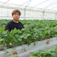 苺工房たけうち