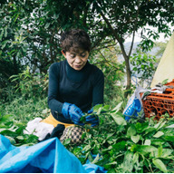家賀再生プロジェクト