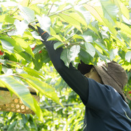 NIKI Hillsファーム(ニキヒルズファーム)