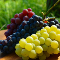 八ヶ岳オーガニックヴィンヤード - ゆいまる農園