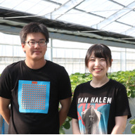 みかりのいちご