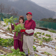 田口農園　徳島