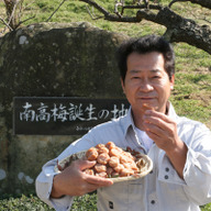 紀州高田果園