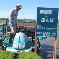 お米農家　森田