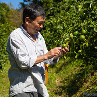 りょうくんとその仲間たち
