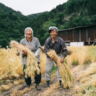 磯貝農園（徳島県）