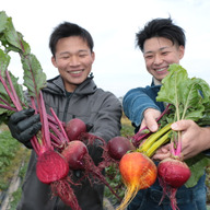 Veg Farm BEET IT