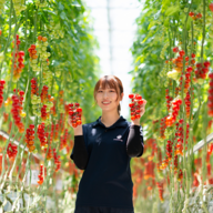 糖度10以上】天使が届ける至高のフルーツトマト！Angel Tomato(1