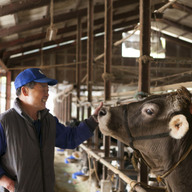 ダイワファーム