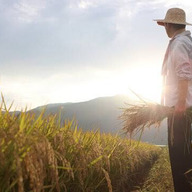 こんちゃん農家