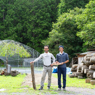 京茸（きょうたけ）