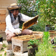 テラゲンファーム