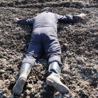 こたこたファーム