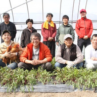 しんせんサンシャインファーム