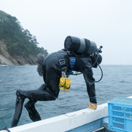 有限会社　片倉商店