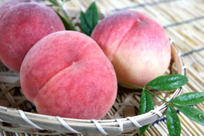 🍑【2026年8月下旬桃】5kg　13～20玉　収穫した日に発送　家庭用　農家直送【朝どれ】