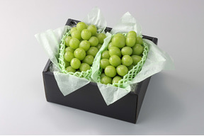 【輝-HIKARI-】シャインマスカット贈答用　２房約850g｜華やかな香りと上品な甘みの厳選ギフト 熨斗対応可 【夏ギフト】
