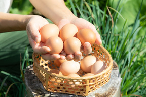 【北海道から】放し飼いコッコの大寒たまご　10個 × 2パック