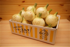 【淡路島産】特別栽培 　新玉ねぎ　3kg