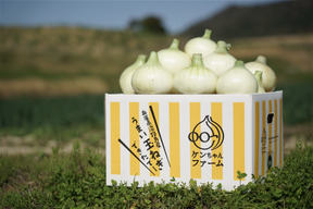 【予約商品　4月上旬～4月中頃発送】この時期にしか食べられない♪淡路島新玉ねぎ「とろ甘・極早生種」５kg