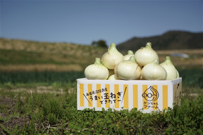 【予約商品　只今3月中旬頃～3月下旬頃発送分の予約中】この時期だけしか食べられない♪淡路島新玉ねぎ「とろ甘・極早生種」３kg