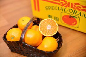 年内発送可★濃厚なコクと酸味がおいしい！有田みかん★自家製堆肥栽培★定番5kg★和歌山★
