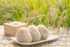 令和8年度産 新米 北アルプスの麓で育んだお米 長野県松川村産コシヒカリ（玄米）10kg ※精米は別ページにてご注文承ります※