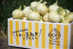 【淡路島産】特別栽培　新玉ねぎ　10kg
