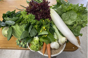 【朝どれ】【旬で新鮮！】淡路島からお届けする新鮮野菜セット Lサイズ（12品入り）
