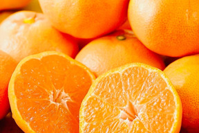 【冬ギフト】特選みかん5kg「熨斗対応可」