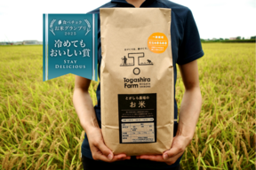 🏆冷めてもおいしい賞【にじのきらめき玄米５kg×２袋】令和7年産新米予約一般栽培／発送期間2026年1月10日～2月28日