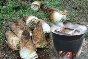 今が旬！やわらか〜い一番掘りたけのこ！大釜湯がきたけのこ（1.5Kg）