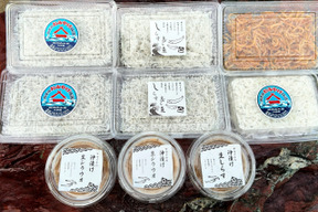 【福袋】シラスとシラウオの豪華食べ比べセット