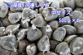 【9周年感謝祭】冷凍品『とれたて新鮮しじみをすばやく冷凍』十三湖産大和しじみ（砂抜き済み）　中サイズ500ｇ×4Ｐ