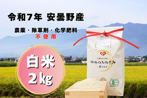 【新米】令和７年安曇野産オーガニック米【有機JAS取得】味わいあっさり！食感もっちり！　やめのおおきみ（風さやか）白米２㎏