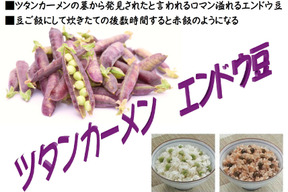 5月発送予定 クール冷蔵便 ツタンカーメンえんどう豆600g 岡山県産の野菜 食べチョク 産地直送 産直 お取り寄せ通販 農家 漁師から旬の食材を直送