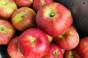 残り10ケース🍎【シナノシリーズ一番人気】シナノスイート5キロ箱 訳あり品 甘くてシャキシャキ ID12292 長野県 信州 安曇野 リンゴ 幻 幻のリンゴ 予約 希少 旬 甘い