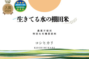 令和８年新米◆生きてる水の棚田米◆農薬・化学肥料不使用・生きてる湧き水で育ったお米 白米2kg