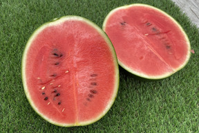 甘さ抜群！シャリシャリ小玉すいか🍉2玉（3.6～4.6ｋｇ）本州の方限定