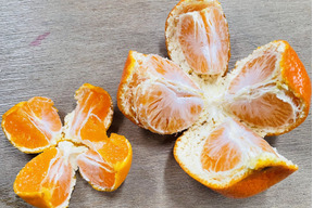 越冬蔵出しみかん　中玉5kg箱　有田みかん