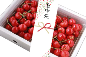 【夏ギフト】【朝どれ】さくらんぼ（紅秀峰）秀　２Ｌ以上　500g×２パック