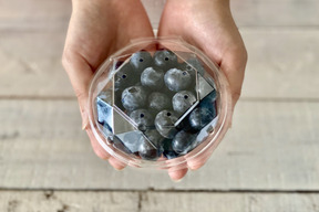 【生食用】《2025年度！国産早生！ユーリカ》今が旬！中粒ブルーベリー　ユーリカ（100g×4パック）※農薬不使用