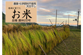 ◆令和7年新米◆農薬化学肥料不使用・天日干し◆白米粒が光る最高級棚田米 農林22号 滋賀県大津産 白米2kg