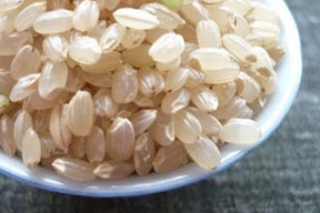 【玄米】【真空チャック袋入り】　2Kg×2「Riki-Saku」コシヒカリ　新潟県秋山農場産。石抜き選別済み。