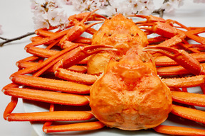 ~日時指定可~富山湾の紅ズワイガニ✨お得な1.2Kgセット（中小サイズ3杯）”茹でたて特殊急速冷凍品”