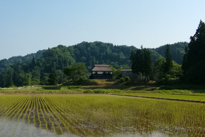 【ゲン担ぎ福袋】【福袋】令和7年新米　新潟高柳門出の棚田で育てたコシヒカリと新之助の食べ比べセット
