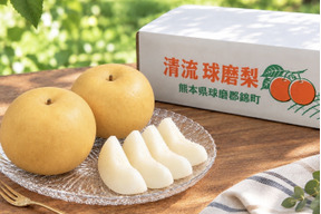 今季最後の梨！『清流球磨梨』新興　約5kg(5〜14個入り) 【9周年感謝祭】