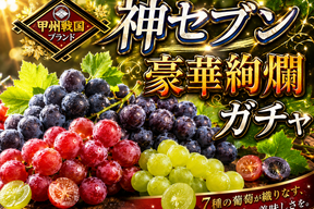 【高級ブランド葡萄】人気トップ７食べ比べガチャ何が届くかお楽しみ【詰め合わせお試し約1kg2種セット】【朝どれ】高級ぶどう家庭用・ギフトにも喜ばれる旬の味【敬老の日ギフト】【2026年9月中旬予約】