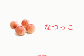 【朝どれ】なつっこ｜かたくても甘い夏の定番桃　約4kg 約10~12玉