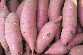 しっとり甘〜い！焼き芋で糖度50度以上！べにはるか(3kg)